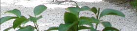 Bed and breakfast Avignon